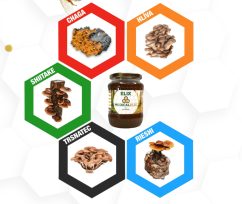 SupraMedex Med obohacený 100% extraktem z hub EXTRA 900g bioregal3 SupraMedex Med obohacený 100% extraktem z hub EXTRA 900g bioregal3