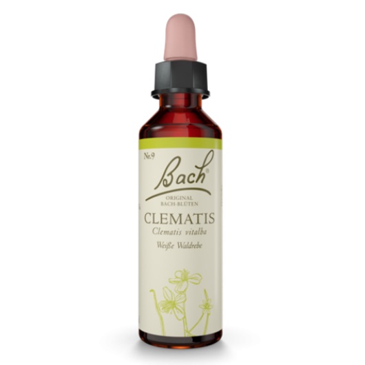 Dr. Bach Esence Clematis 20 ml