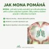 Vigres MONA – med na podporu podporu plic 900g