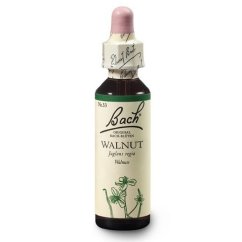 Dr. Bach Esence Walnut 20 ml bioregal Dr. Bach Esence Walnut 20 ml bioregal