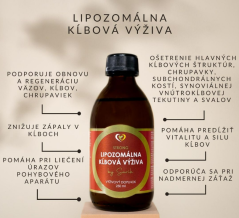 Vesantech Laboratories Lipozomálna kĺbová výživa 250ml