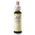Dr. Bach Esence Olive 20 ml bioregal
