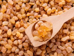 BEWIT® PRAWTEIN® FRANKINCENSE PLUS