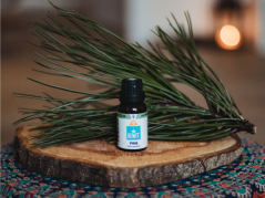 BEWIT BOROVICE (PINUS SYLVESTRIS) 100% čistý esenciální olej 15ml