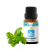 BEWIT MÁTA PEPRNÁ (MENTHA PIPERITA) 100% čistý esenciální olej 15ml