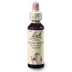 Dr. Bach Esence Water Violet 20 ml bioregal Dr. Bach Esence Water Violet 20 ml bioregal