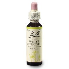 Dr. Bach Esence White Chestnut 20 ml bioregal Dr. Bach Esence White Chestnut 20 ml bioregal