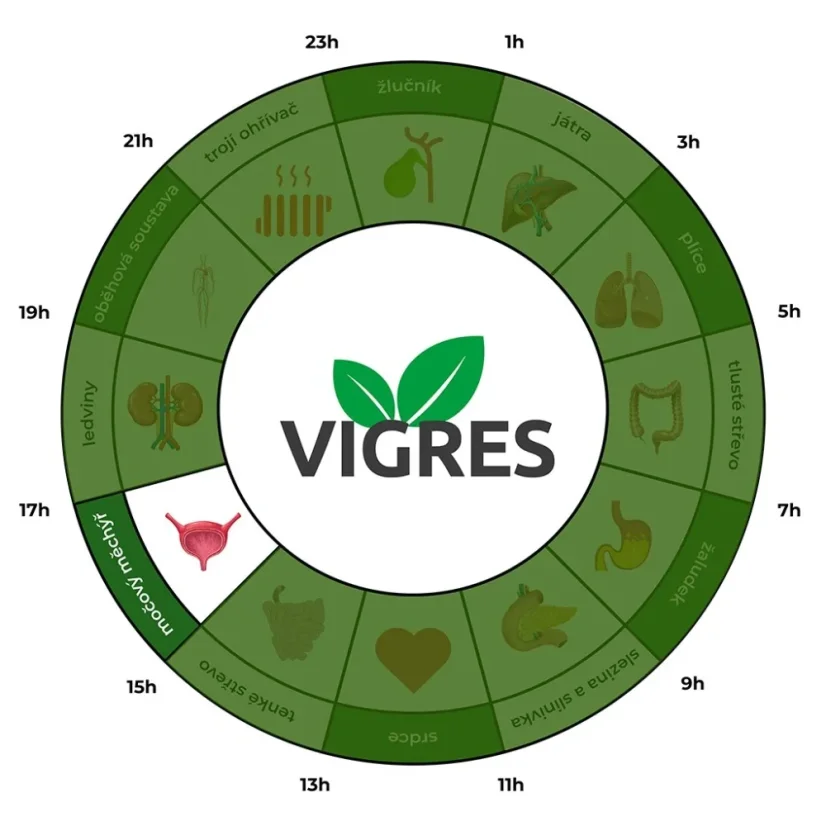 Vigres UROFIT - med na podporu močového měchýře 900g