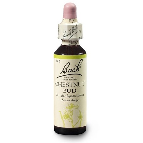 Dr. Bach Esence Chestnut Bud 20 ml