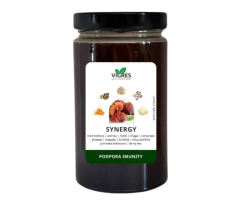 Vigres SYNERGY – med pro imunitu s vitálními houbami 900g