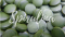 10 dokázaných prínosov Spiruliny