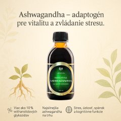 Vesantech Laboratories Lipozomálna Ashwagandha 200ml