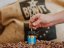 BEWIT® BIO PRAWTEIN® ASTRO MOON