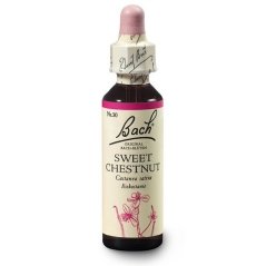 Dr. Bach Esence Sweet Chestnut 20 ml bioregal Dr. Bach Esence Sweet Chestnut 20 ml bioregal