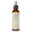 Dr. Bach Esence Clematis 20 ml