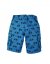 FRUGI Chlapecké šortky z BIO bavlny BIKES