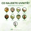 Vigres MONA – med na podporu podporu plic 900g