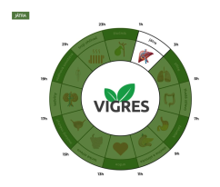 Vigres MANTRA – med na podporu podporu jater 900g