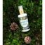Purity Vision Borovicová voda BIO 100ml