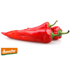 Bingenheimer BIO Semienka ČERVENÁ PAPRIKA Pantos (Demeter certifikát)