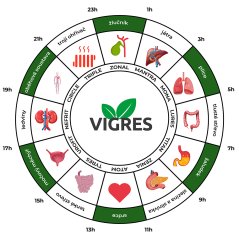 Vigres LUNA – jarní a podzimní detox s vitálními houbami 200g