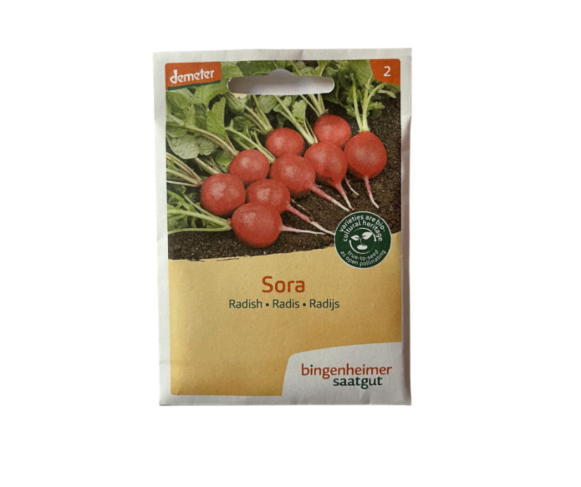 Bingenheimer BIO Semínka ŘEDKVIČKA Sora (Demeter certifikát)