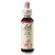 Dr. Bach Esence Elm 20 ml