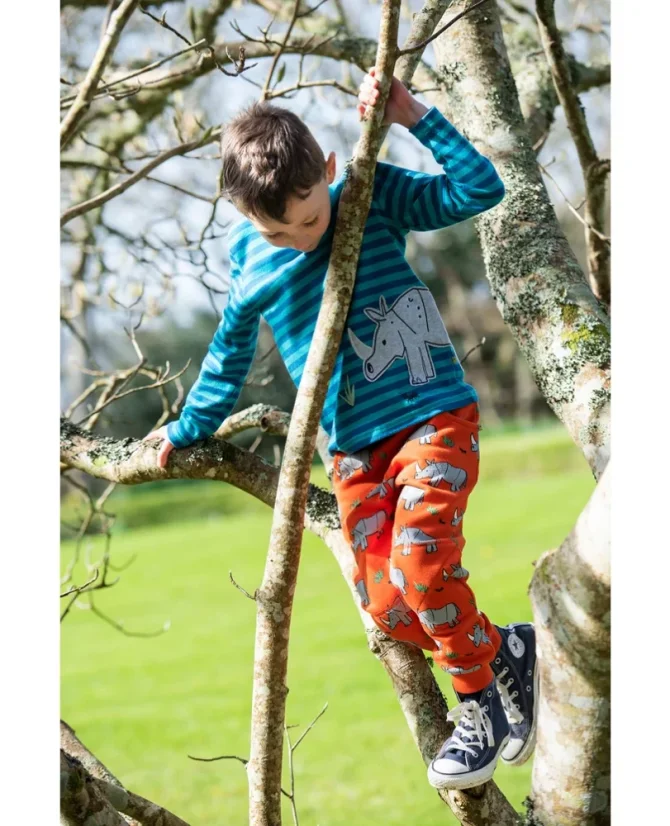FRUGI Tričko z BIO bavlny s dlouhým rukávem RHINO