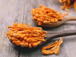 BEWIT® PRAWTEIN® CORDYCEPS PLUS