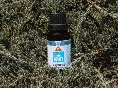 BEWIT CYPŘIŠ (CUPRESSUS SEMPERVIRENS) 100% čistý esenciální olej 15ml