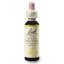 Dr. Bach Esence White Chestnut 20 ml bioregal Dr. Bach Esence White Chestnut 20 ml bioregal