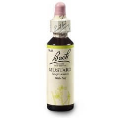 Dr. Bach Esence Mustard 20 ml bioregal Dr. Bach Esence Mustard 20 ml bioregal