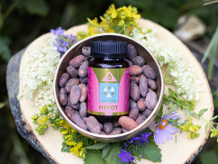 BEWIT® PRAWTEIN® HYPOT