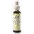 Dr. Bach Esence White Chestnut 20 ml bioregal